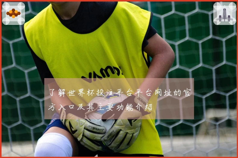 了解世界杯投注平台平台网址的官方入口及其主要功能介绍