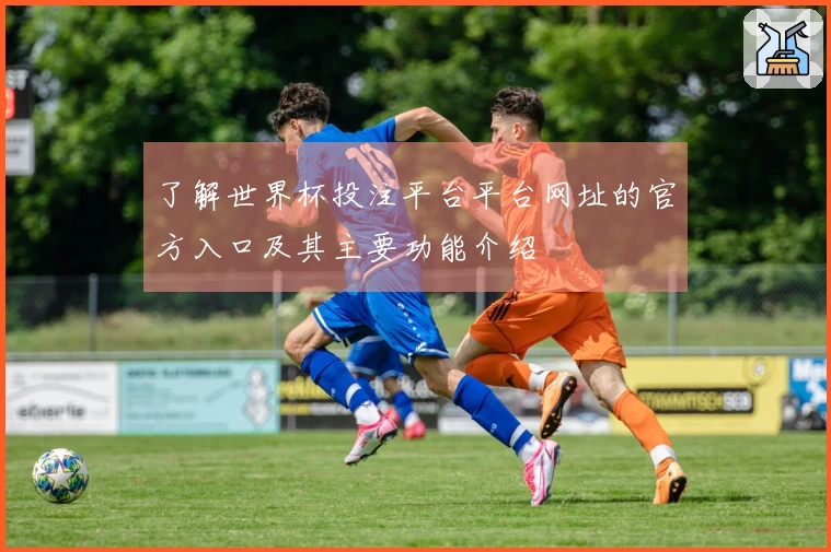 了解世界杯投注平台平台网址的官方入口及其主要功能介绍