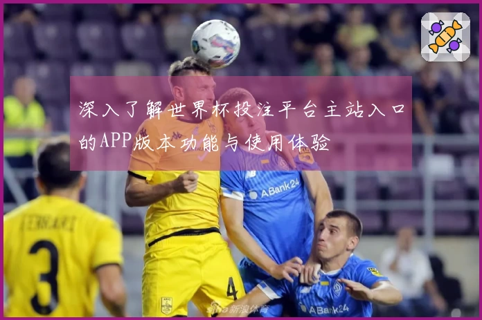 深入了解世界杯投注平台主站入口的APP版本功能与使用体验