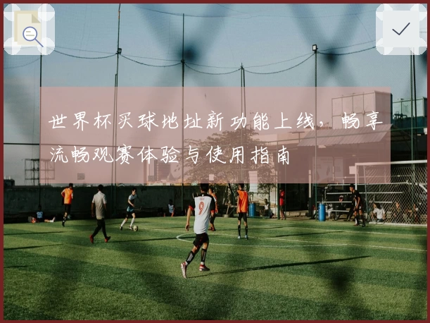 世界杯买球地址新功能上线，畅享流畅观赛体验与使用指南