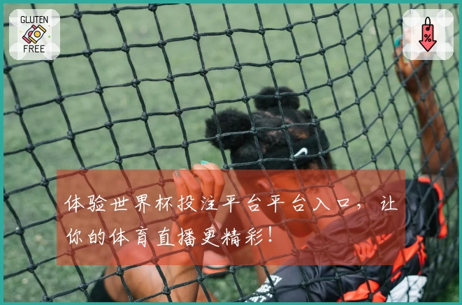 体验世界杯投注平台平台入口，让你的体育直播更精彩！