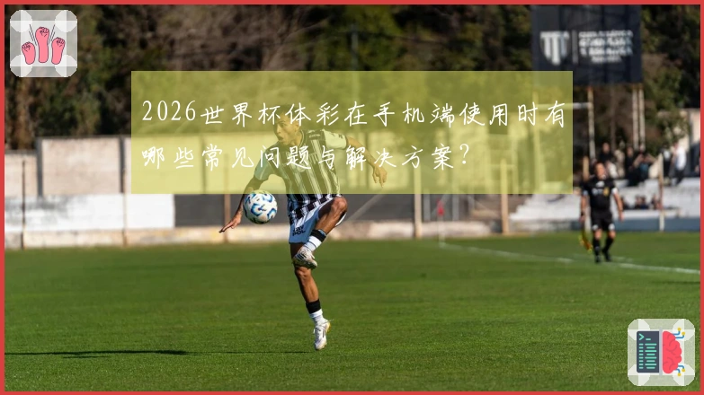 2026世界杯体彩在手机端使用时有哪些常见问题与解决方案？