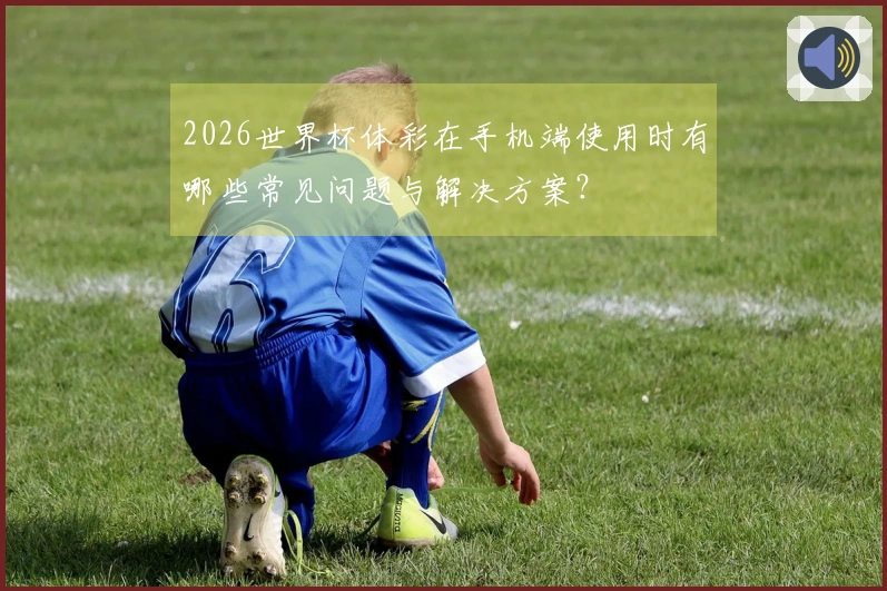 2026世界杯体彩在手机端使用时有哪些常见问题与解决方案？