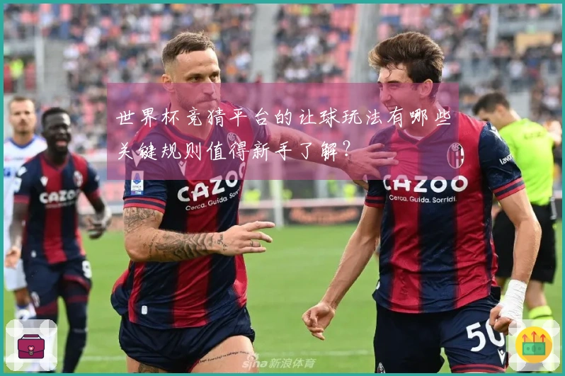 世界杯竞猜平台的让球玩法有哪些关键规则值得新手了解?
